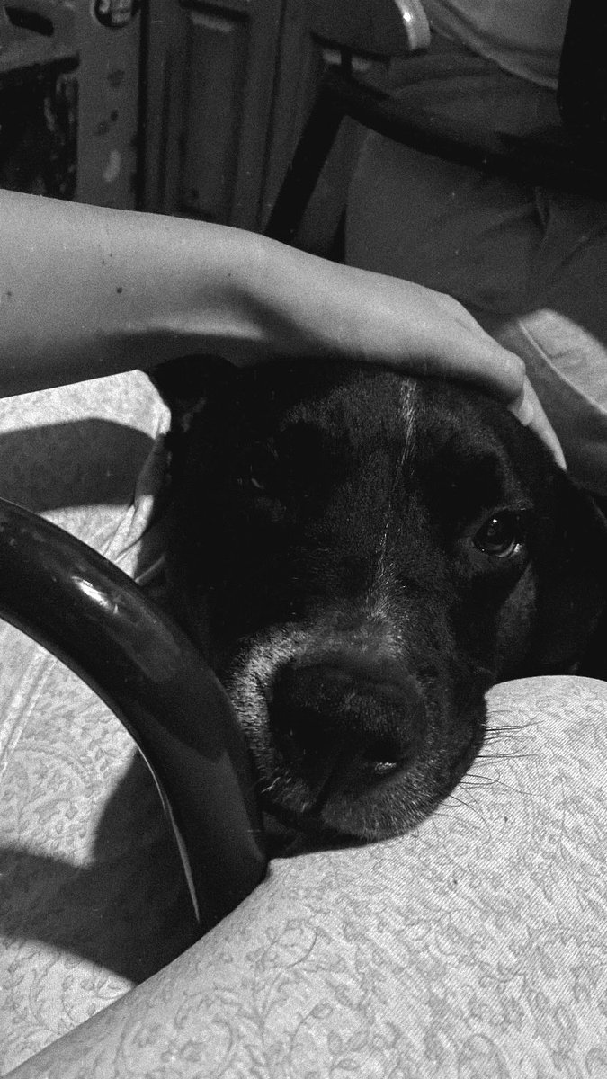 magalyok1's tweet photo. Que esos ojitos brillosos me miren siempre🖤 https://t.co/MVfitwwnfu