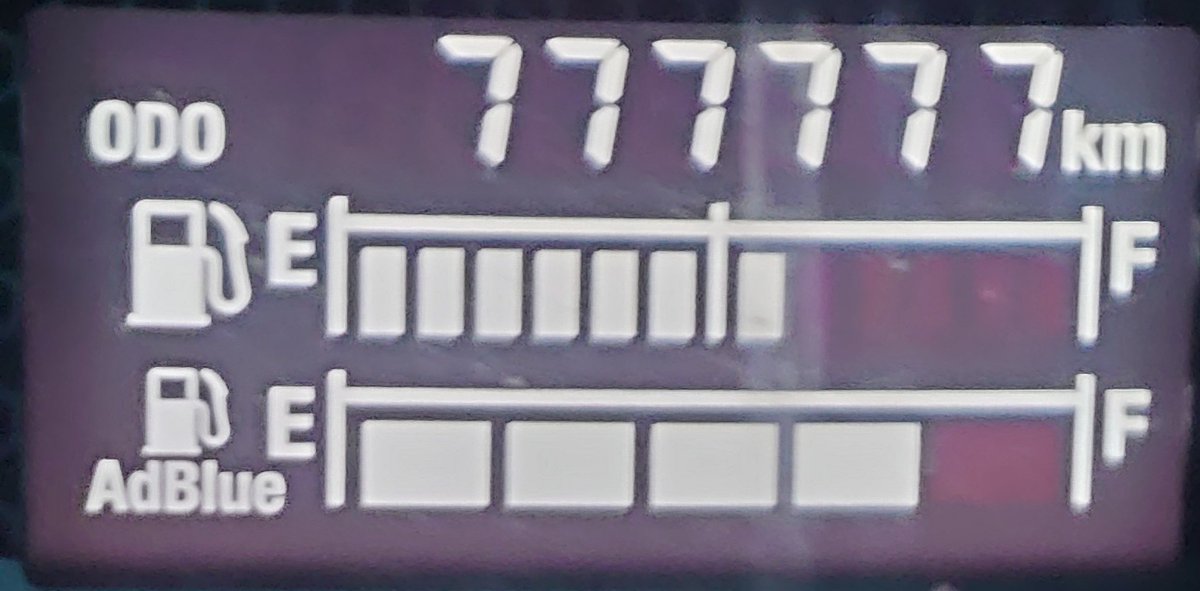 STRAIGHT GO tweet media