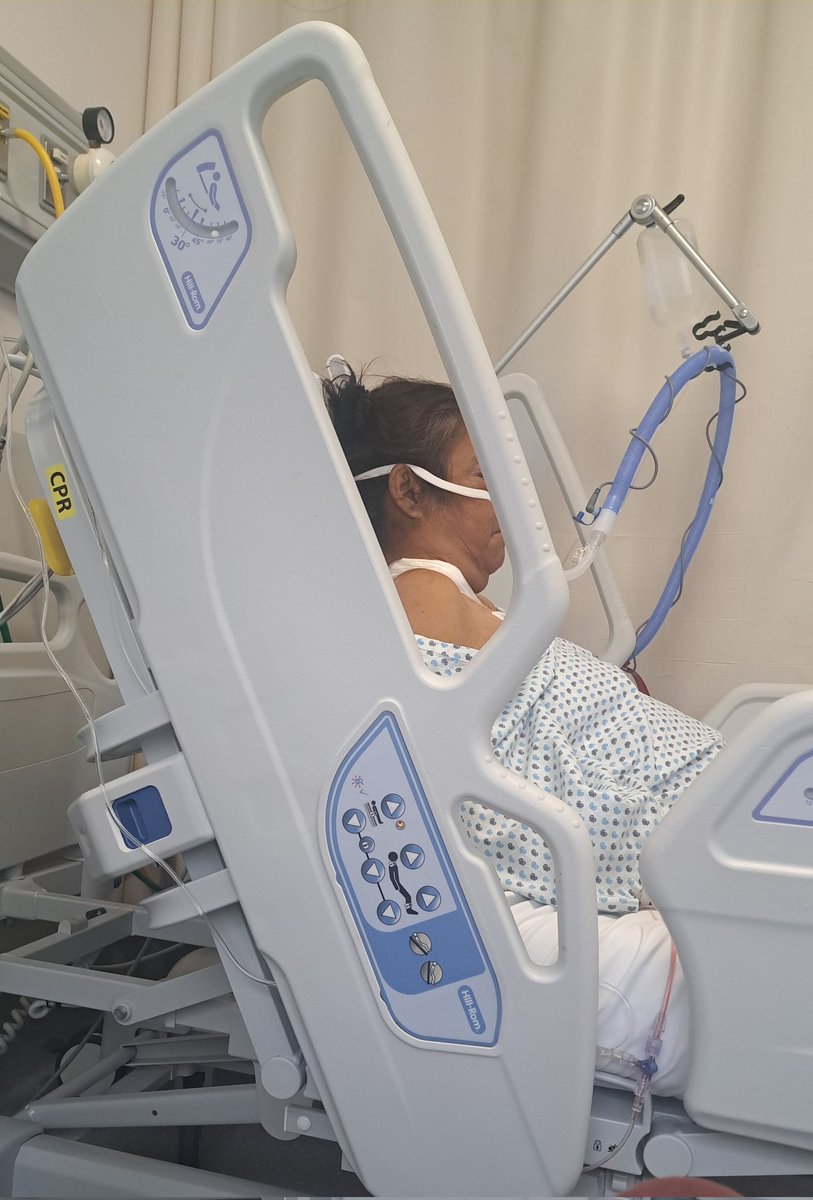 JessmonssVt🌺 tweet media