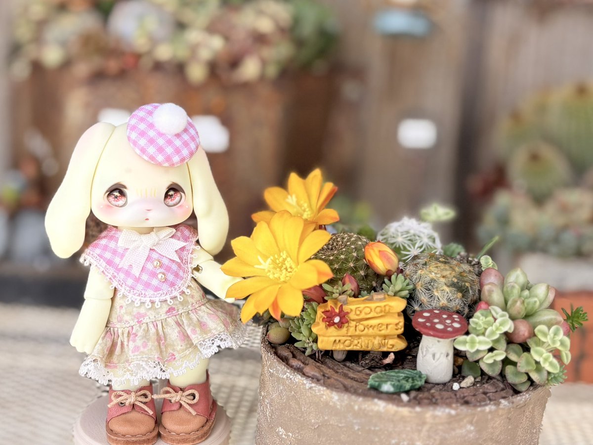 acchu0117's tweet photo. https://t.co/Xy3PncH4ss