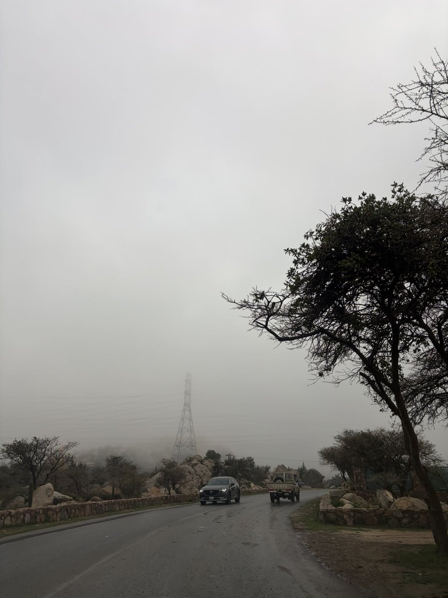 Aisha alamri. tweet media