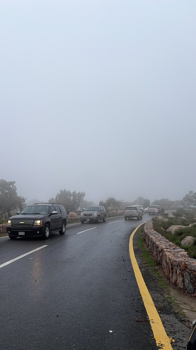 Aisha alamri. tweet media