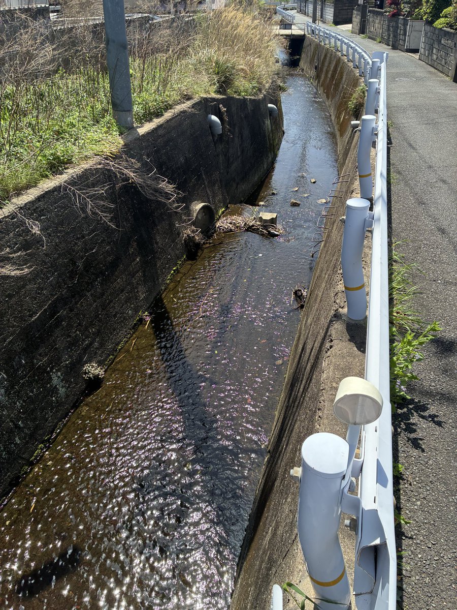 trakuda's tweet photo. 用水路って言うんですかね？こういうのって。
近くに大雨の時に警戒必要な場所がけつこう多いです。 https://t.co/YmZ7sYjHLK