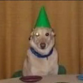 Lechugituwu 🏹 tweet media