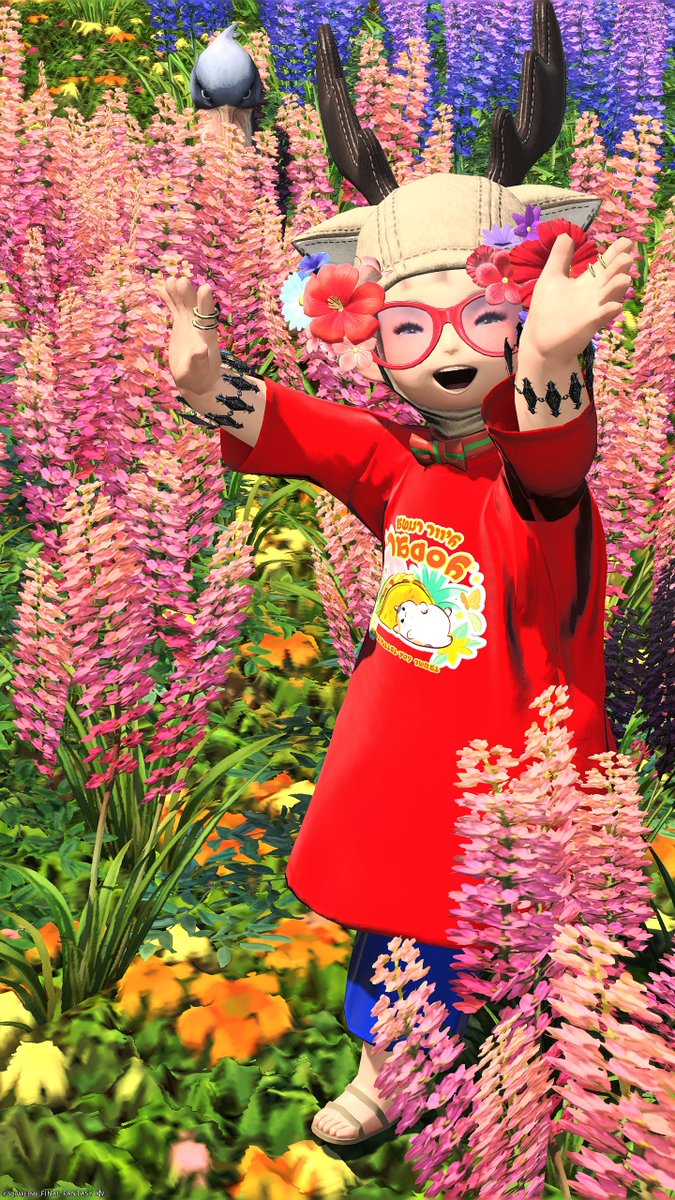 のんさん@shinryu tweet media