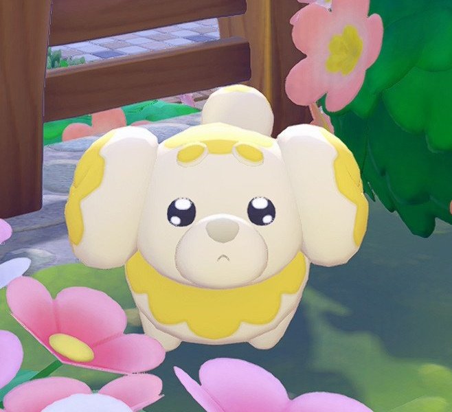 레전드오브율미..𐒨꒱⁾◕ͦ꤮̥̭◕ͦ⁽꒰𐒧 tweet media