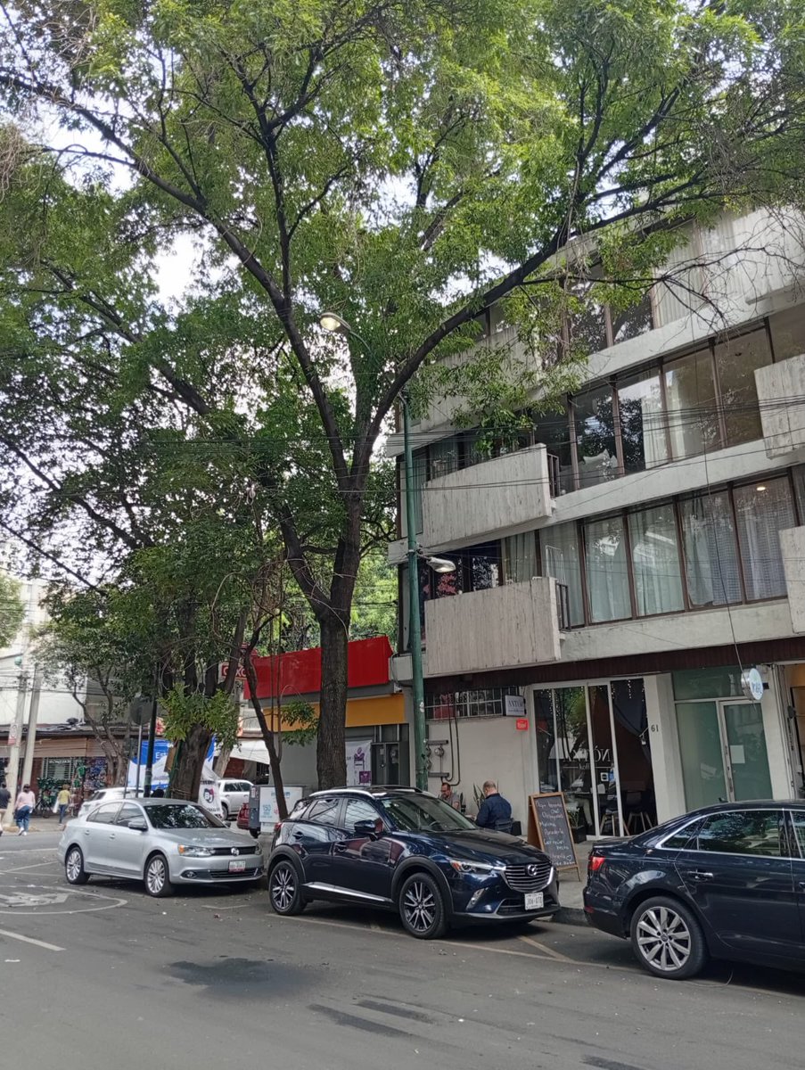 Acciones BJ tweet media