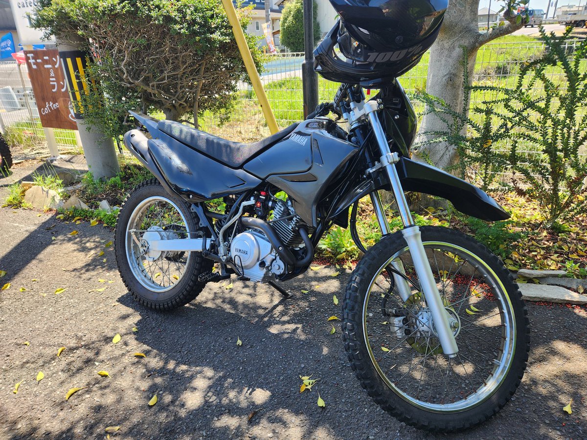 寝ルケス@Lino代表 tweet media