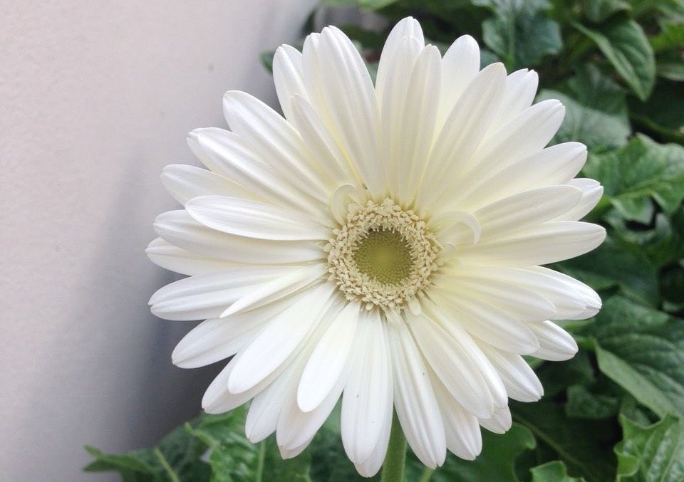 الله يشاء ونرضى
فانه سبحانه احن
وارحم وادرى🤲🏻🤍

#صباح_آلخيــــر