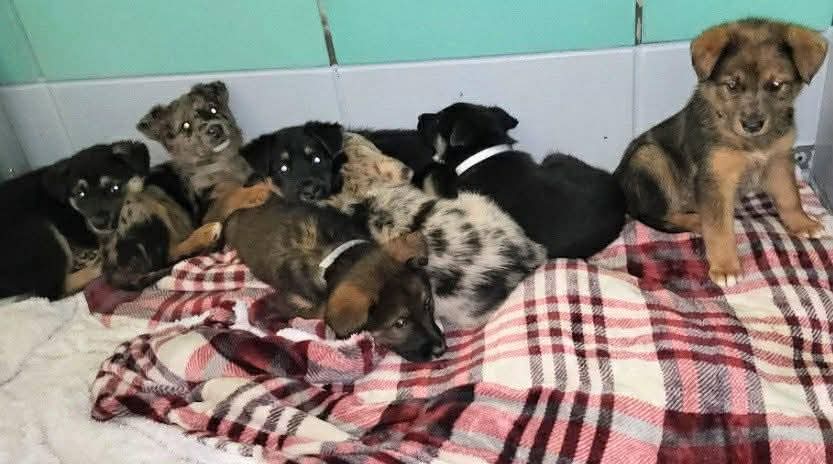 Chris Michaels tweet media