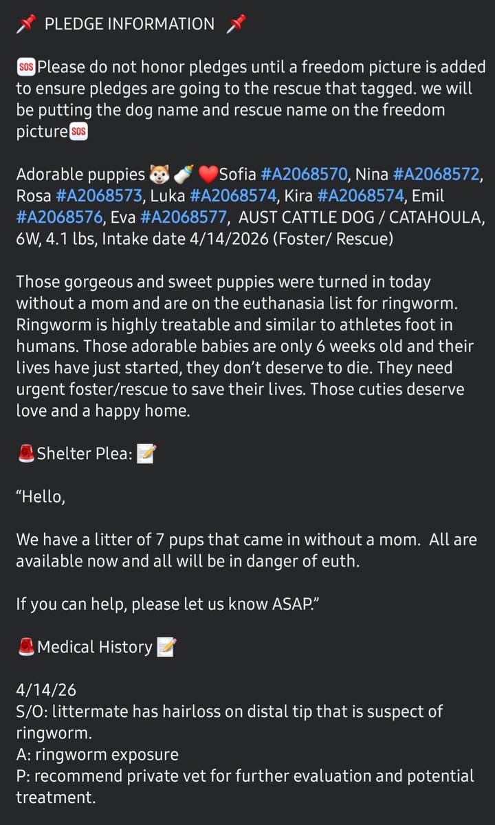 Chris Michaels tweet media