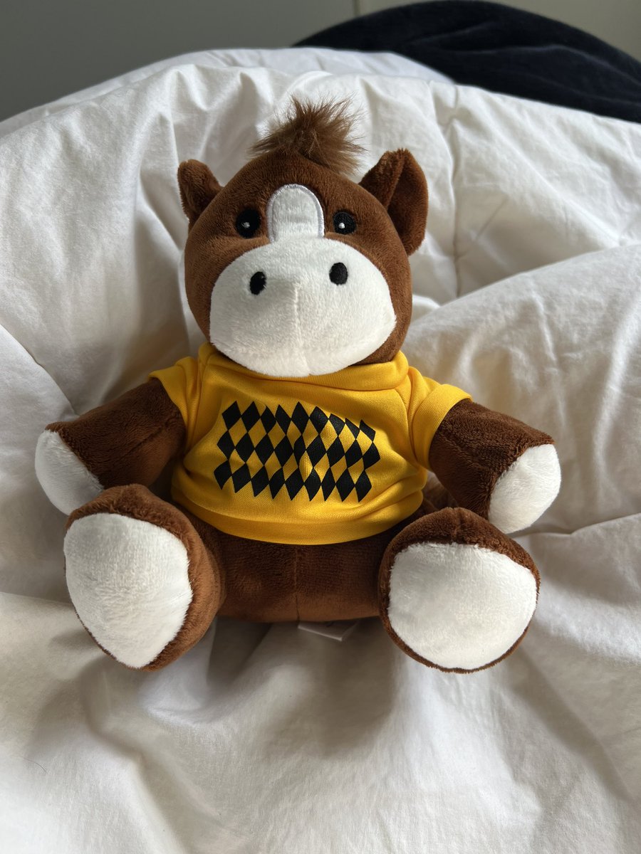 Lunar & Sunny 🐴 tweet media