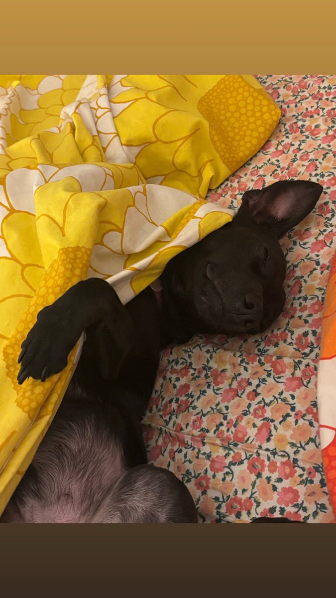 l u c a❣️ tweet media