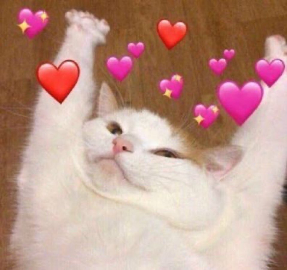 arnikah🤍✨ tweet media