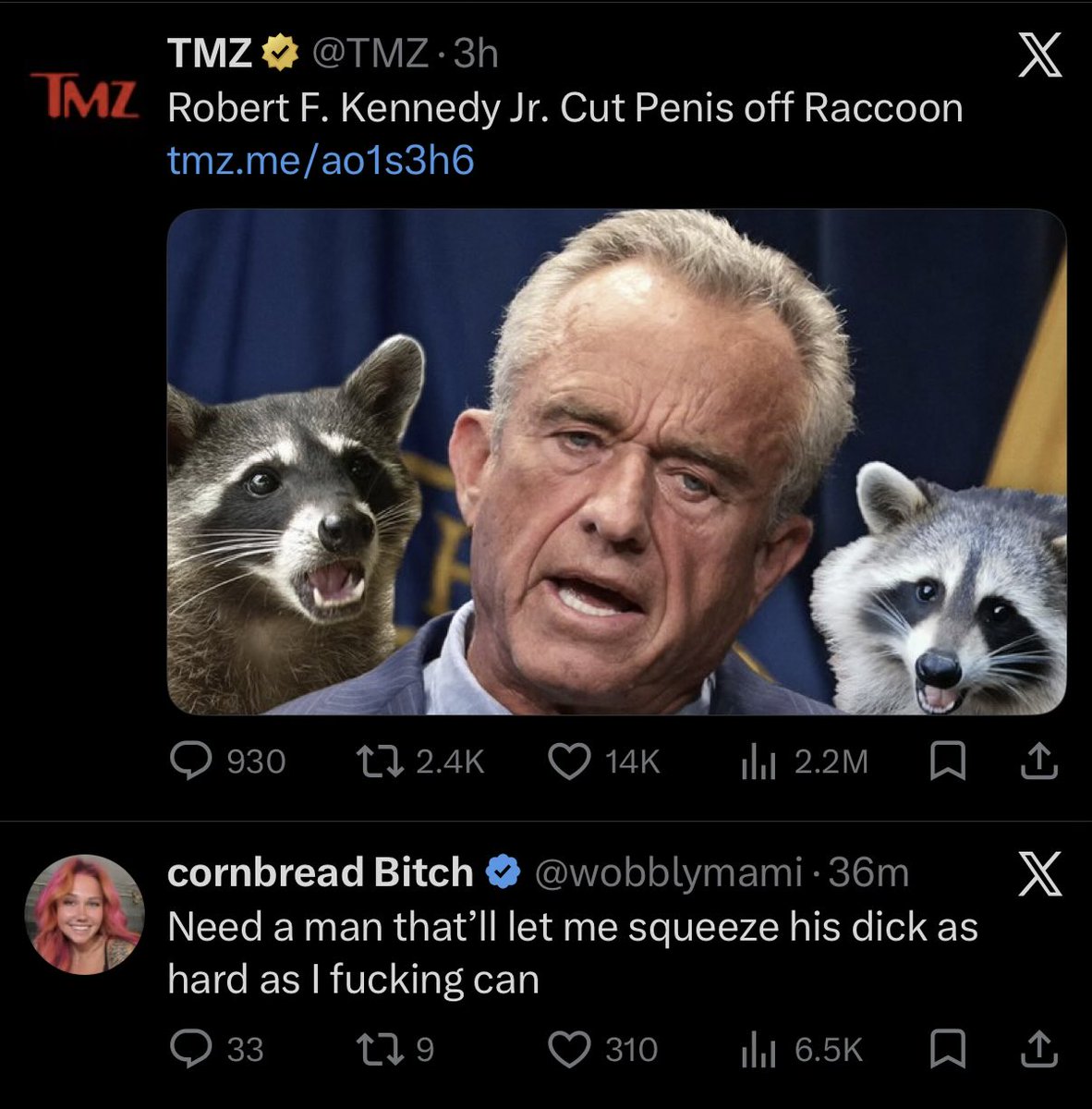 Holylite tweet media