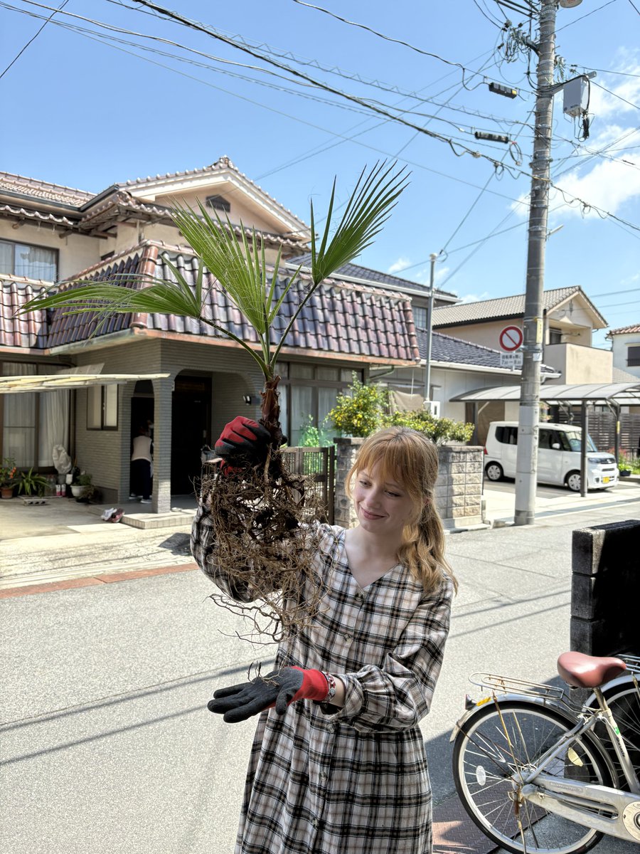 натарін 🧼 tweet media