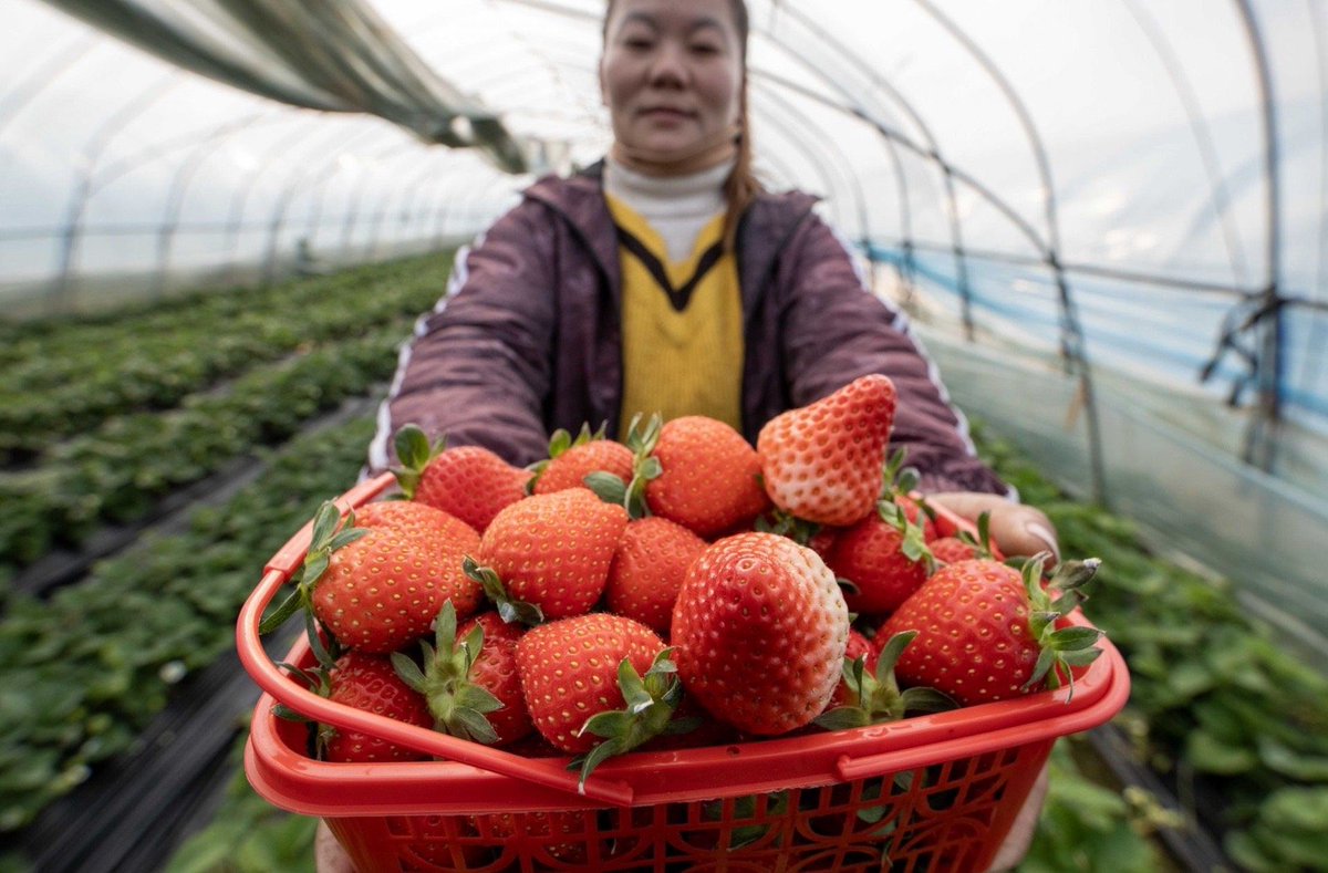 Pablo Segre tweet media