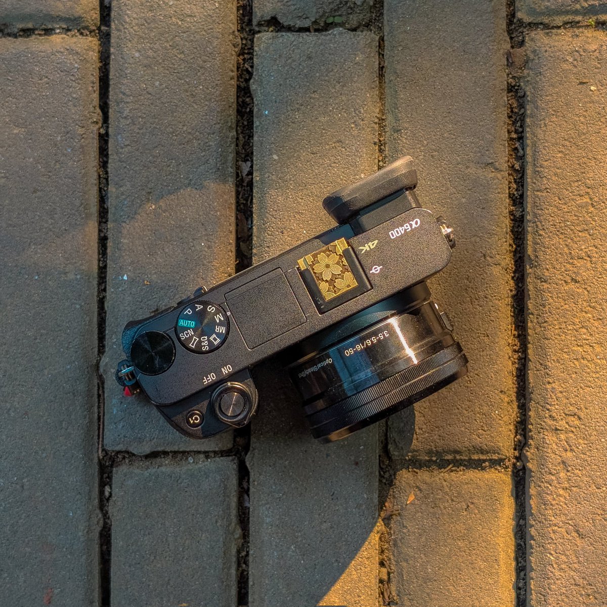 marknight_'s tweet image. Arroceros park 🌿
#manila #ph #sonyph