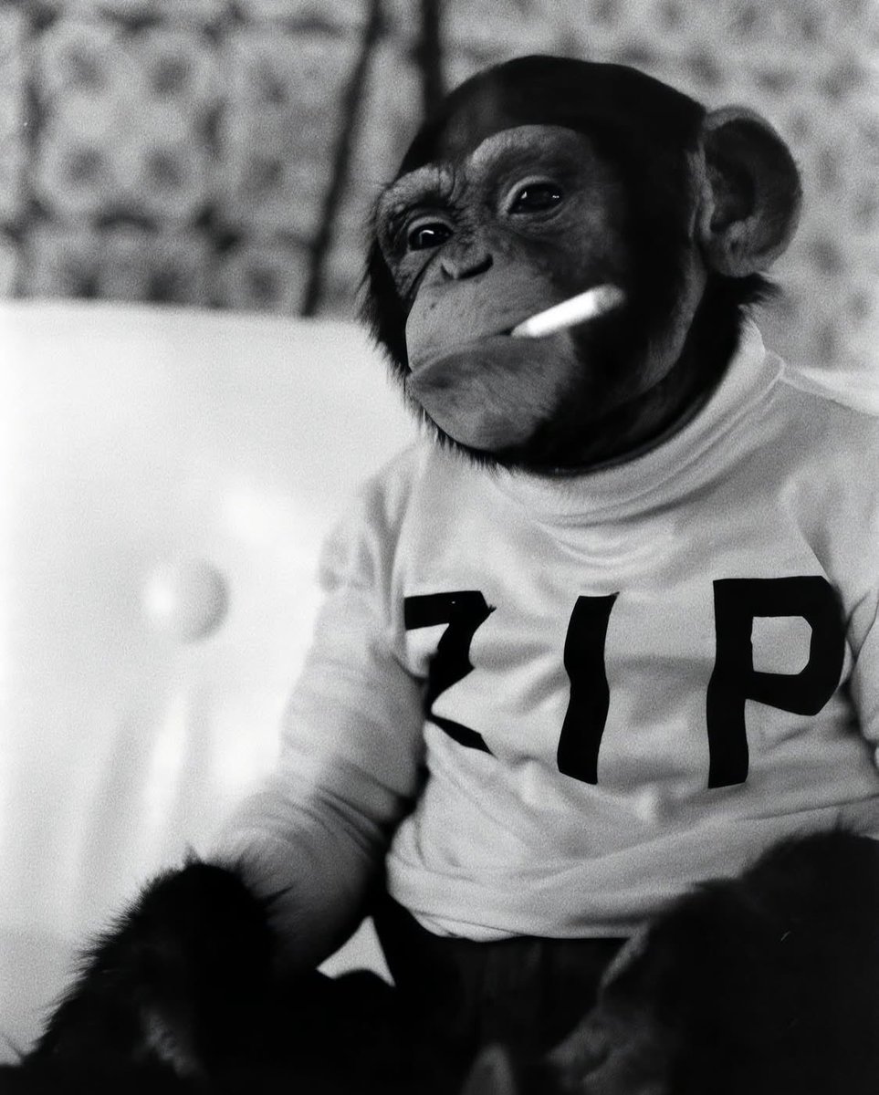 Traveller tweet media