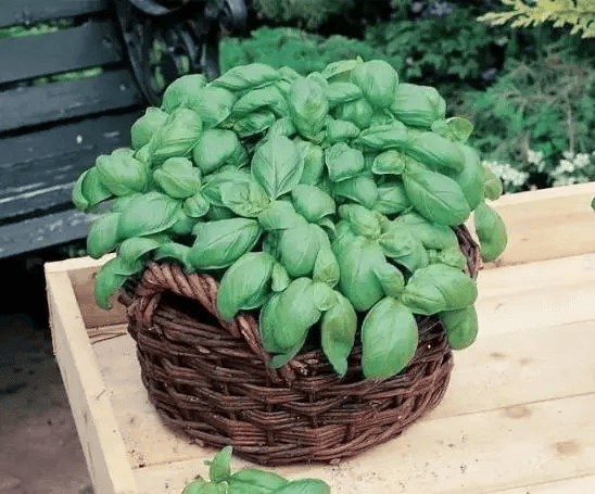 Herb Rogers tweet media