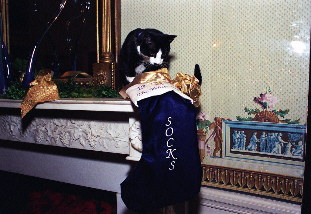 bigeorgewbush's tweet photo. Socks for President 2028! https://t.co/LqsGgnMKD8