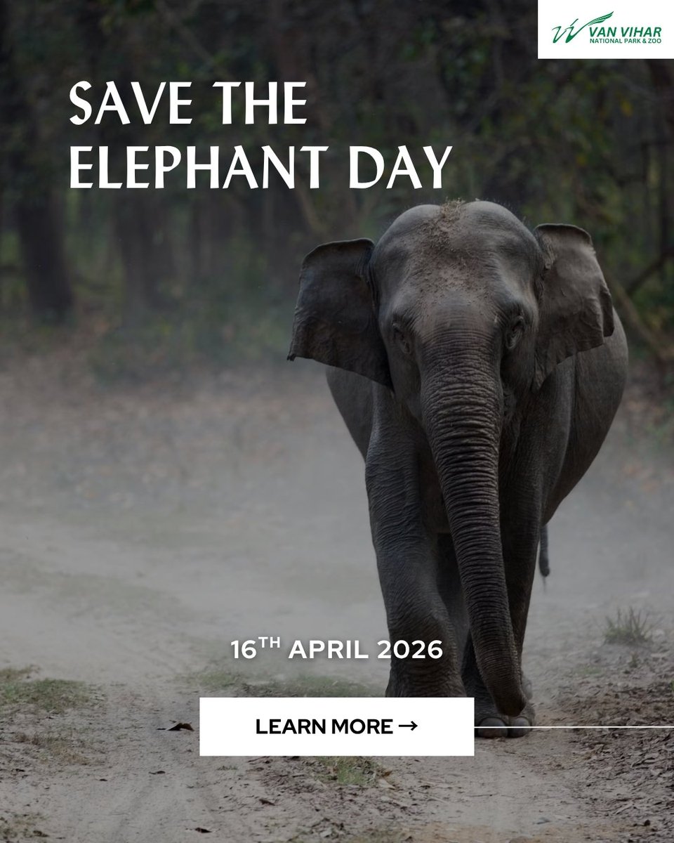 Van Vihar National Park tweet media