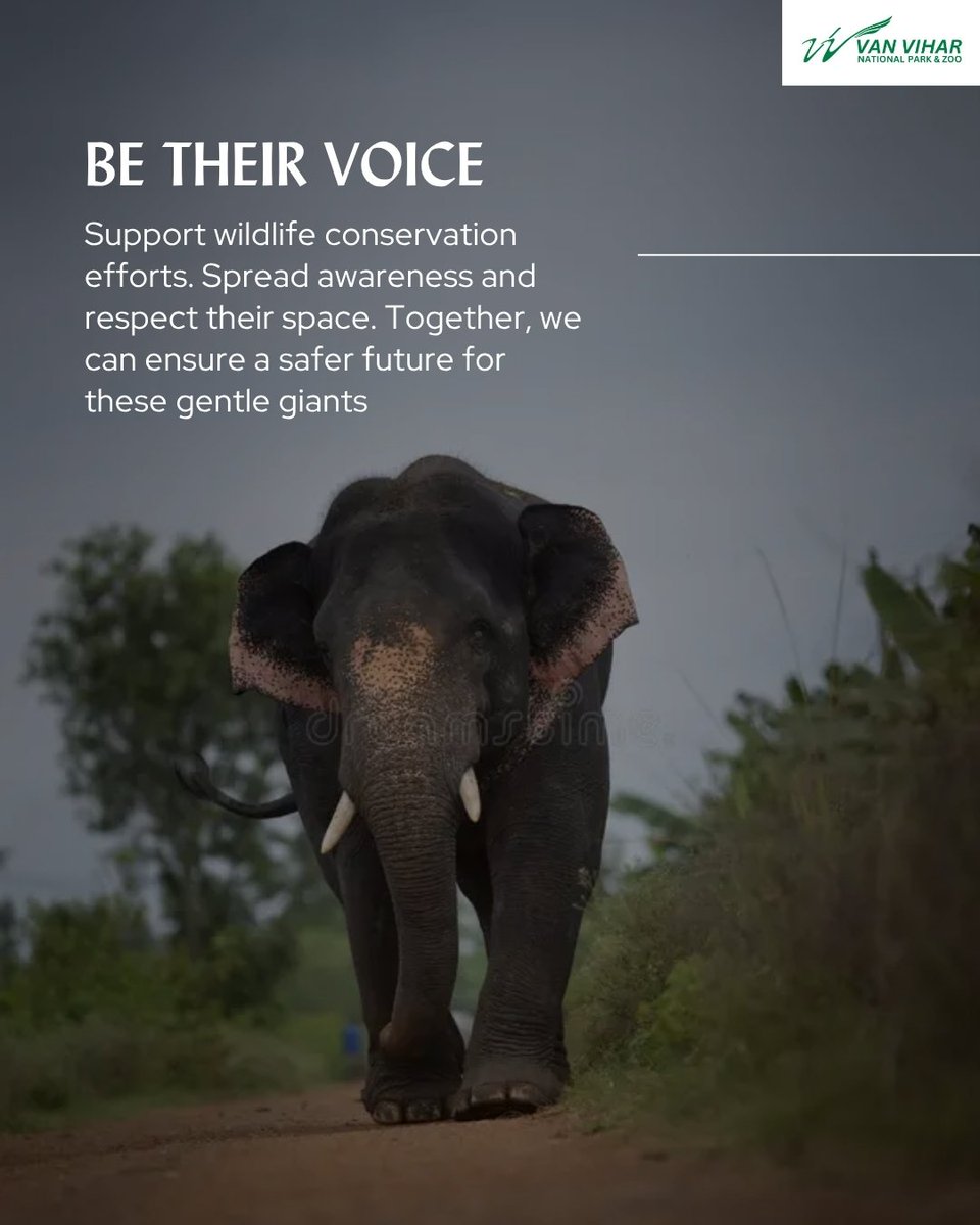 Van Vihar National Park tweet media