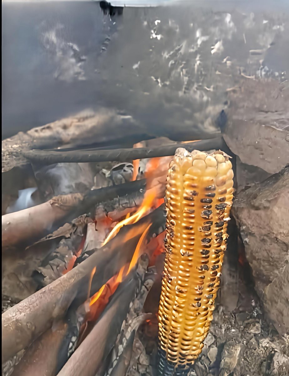 𝐑α𝖾ᥣ tweet media