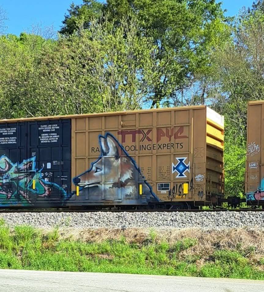 𝕾𝖎𝖌𝖌𝖎 🐍 𝕸𝖈𝕾𝖑𝖎𝖓𝖐𝖞 tweet media