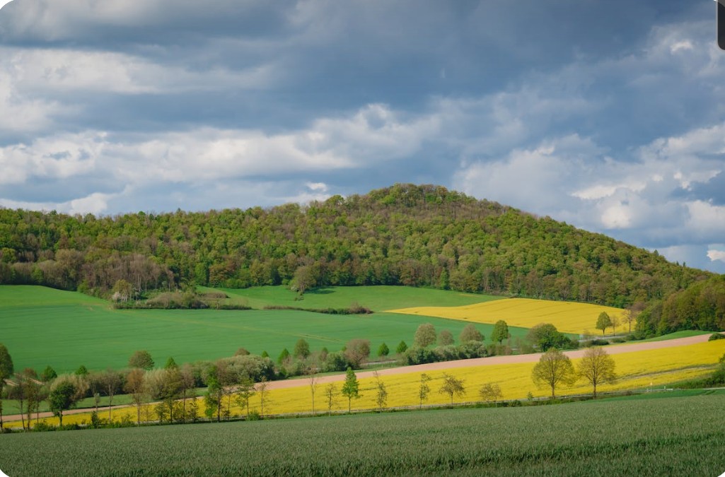 Let’s turn this Thursday into a story worth telling.
#lets #turn #Thursday #story #worth #telling