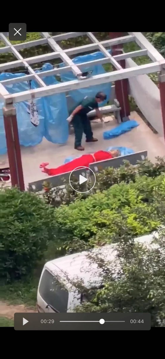 九龙塘右眼财迷 tweet media