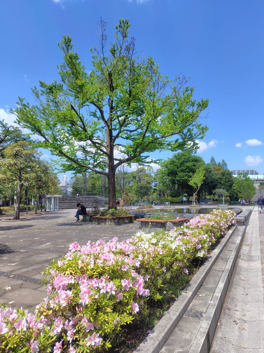 jetsetride's tweet photo. こんにちは⛅
緑が美しい頃になりました。
少し歩き深呼吸をしリフレッシュ。
よい午後を🍀 https://t.co/mpuC3ywCLR