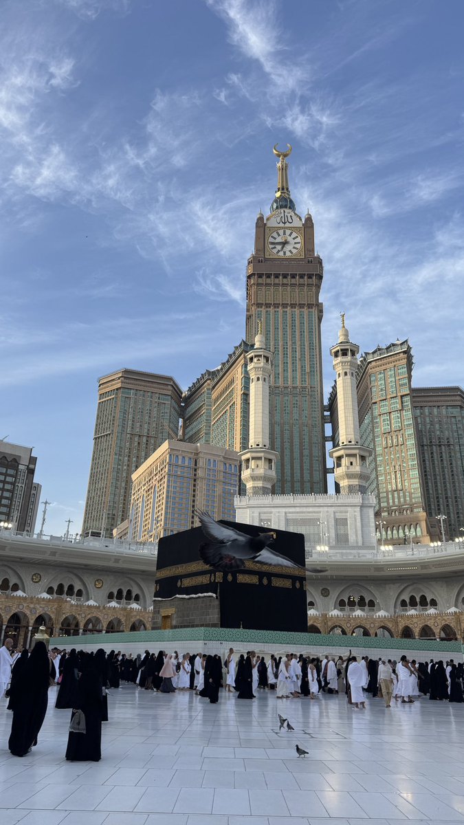 مُعاذ العسيري tweet media