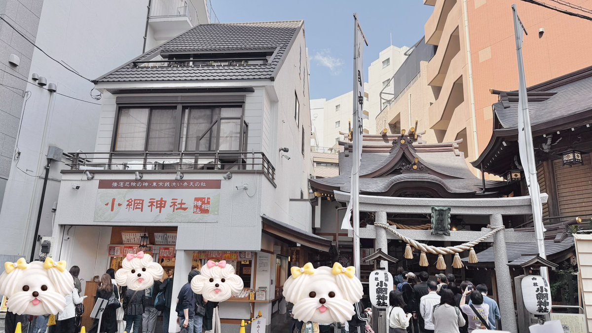 あず🐥✨ tweet media