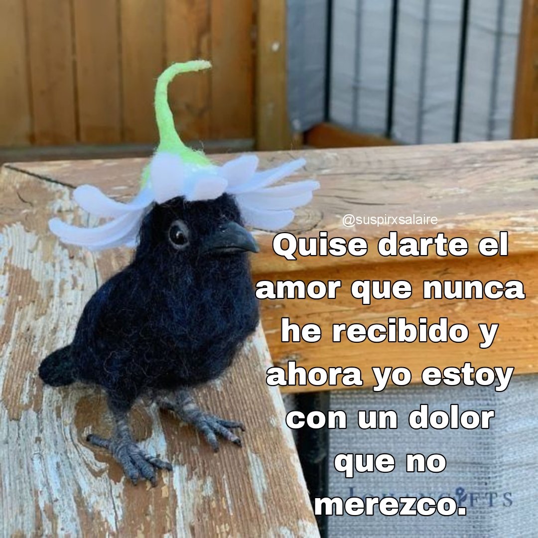 bauldefrases tweet media