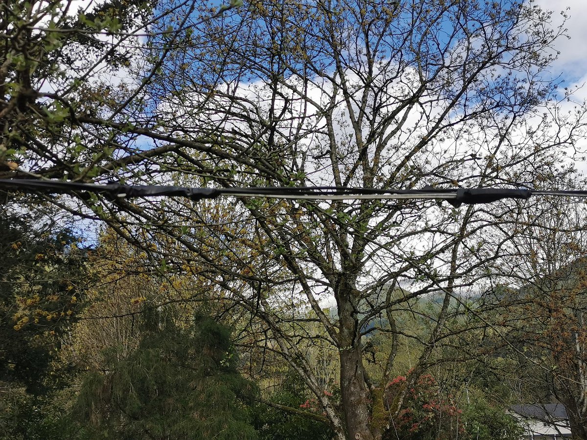 Lavender tweet media