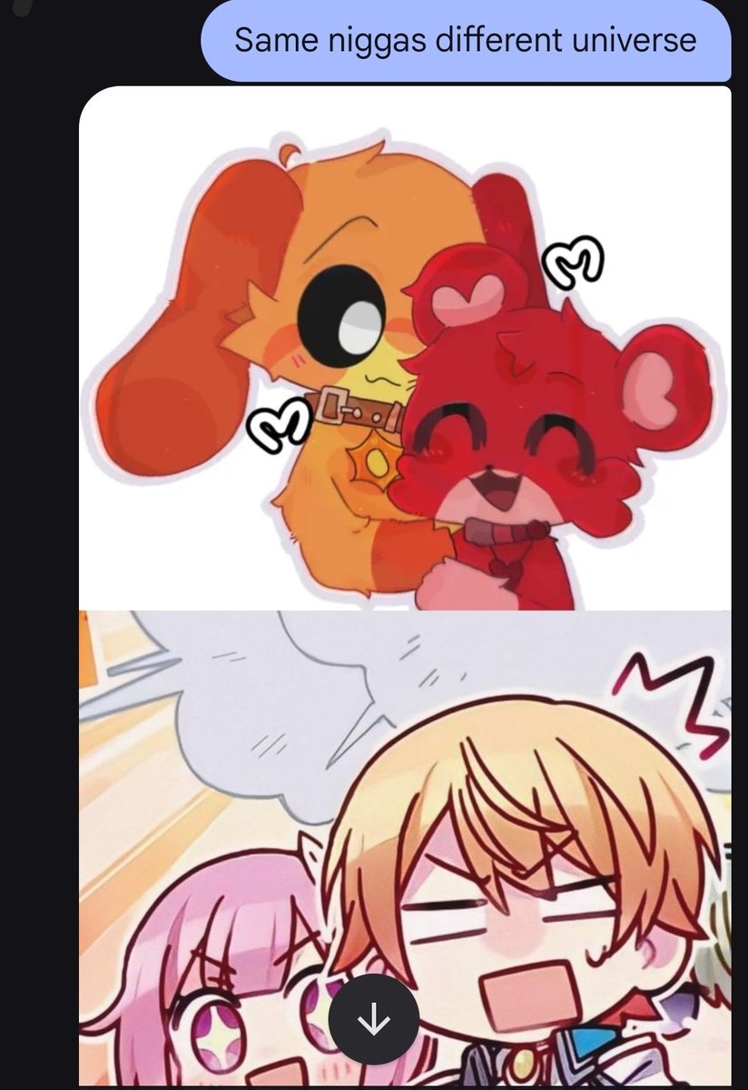 ☀️🐶Timely Bobday♥️🐻 tweet media