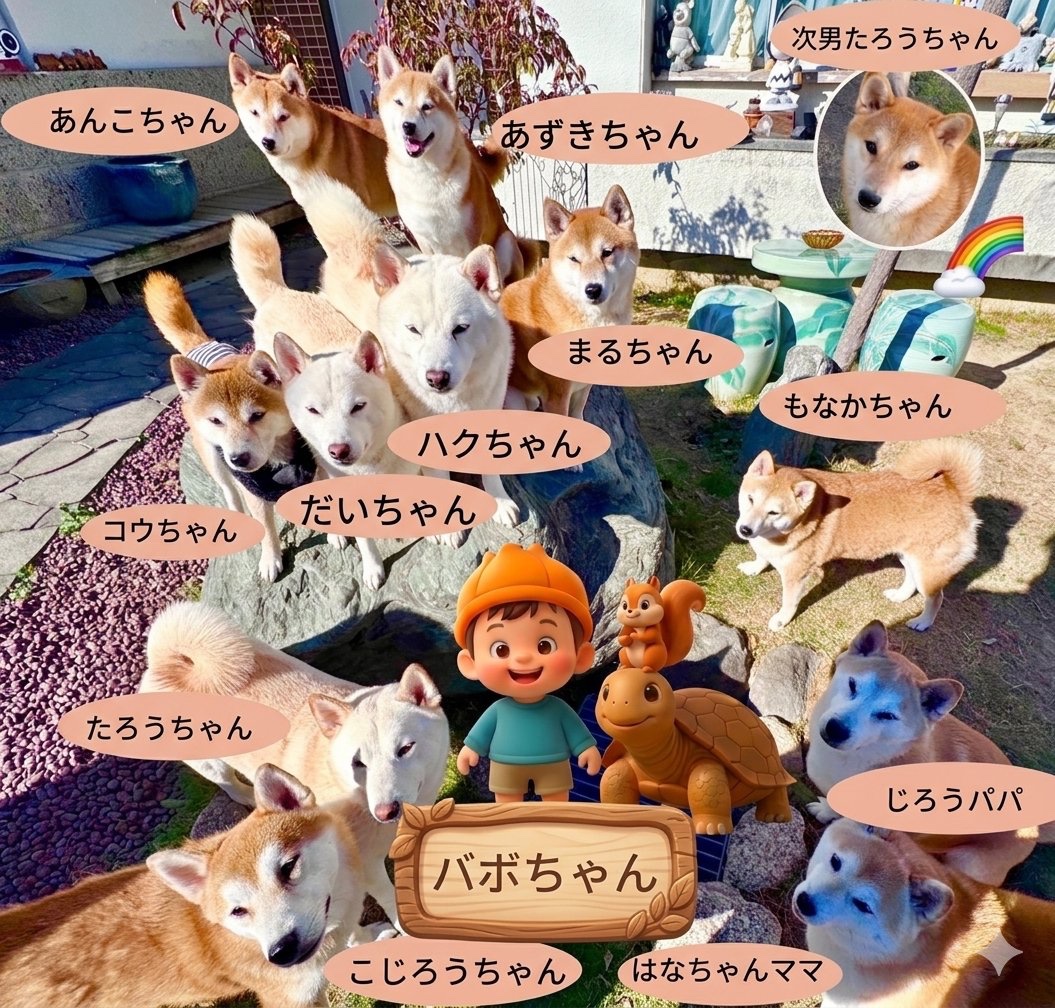 バボちゃん（柴犬12匹家族） tweet media