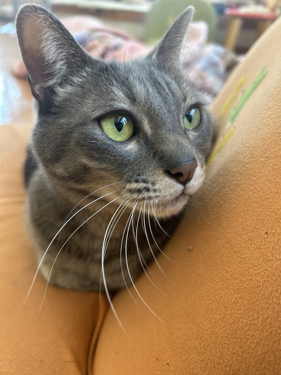 みか💐 tweet media