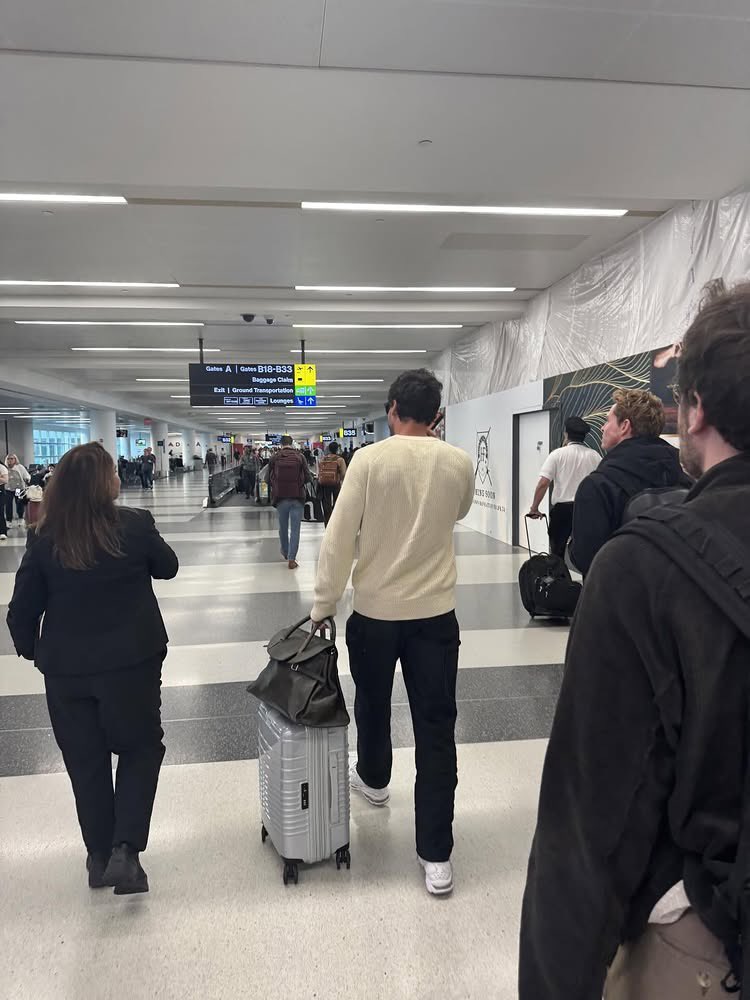 daily concois tweet media