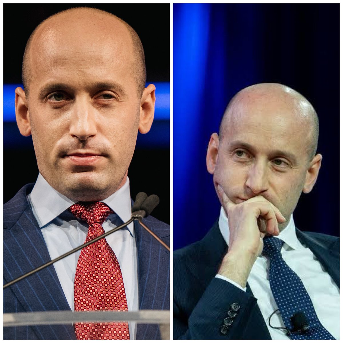 Professor Pissybich tweet media