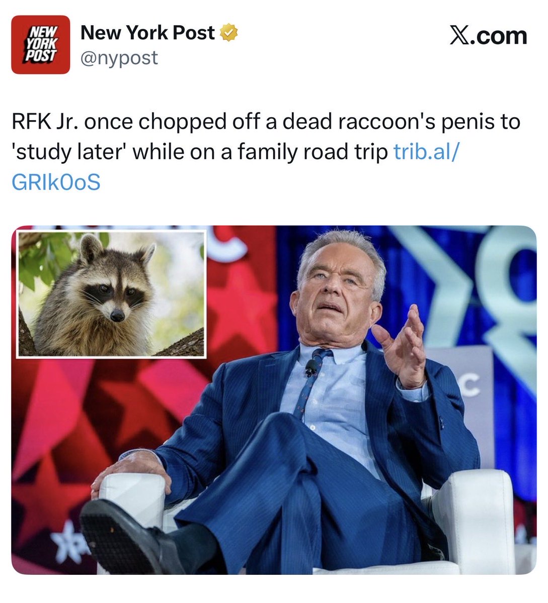 Not the Bee tweet media