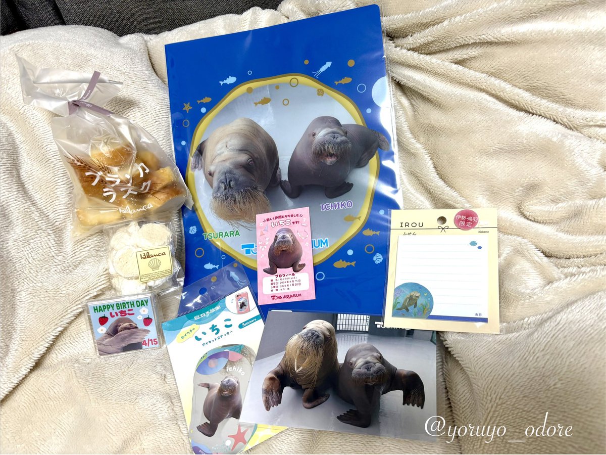 りん🧜‍♀️ tweet media