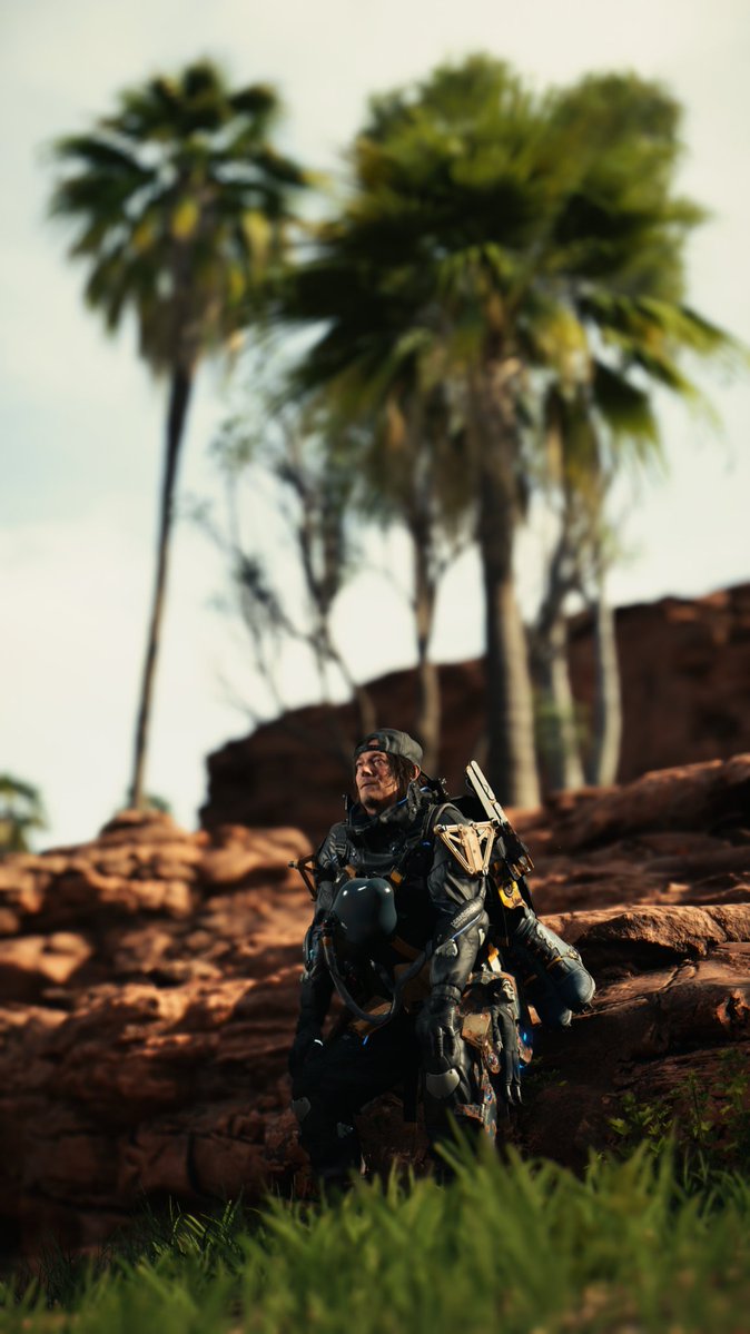 phanodemus tweet media