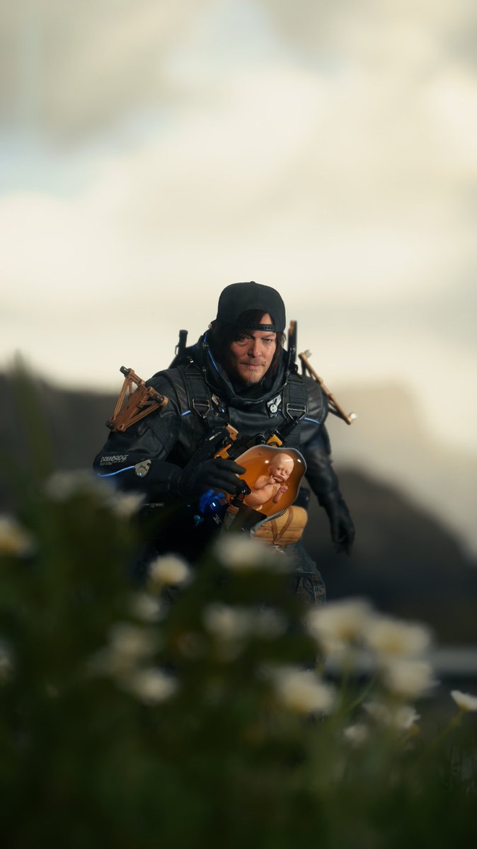 phanodemus tweet media