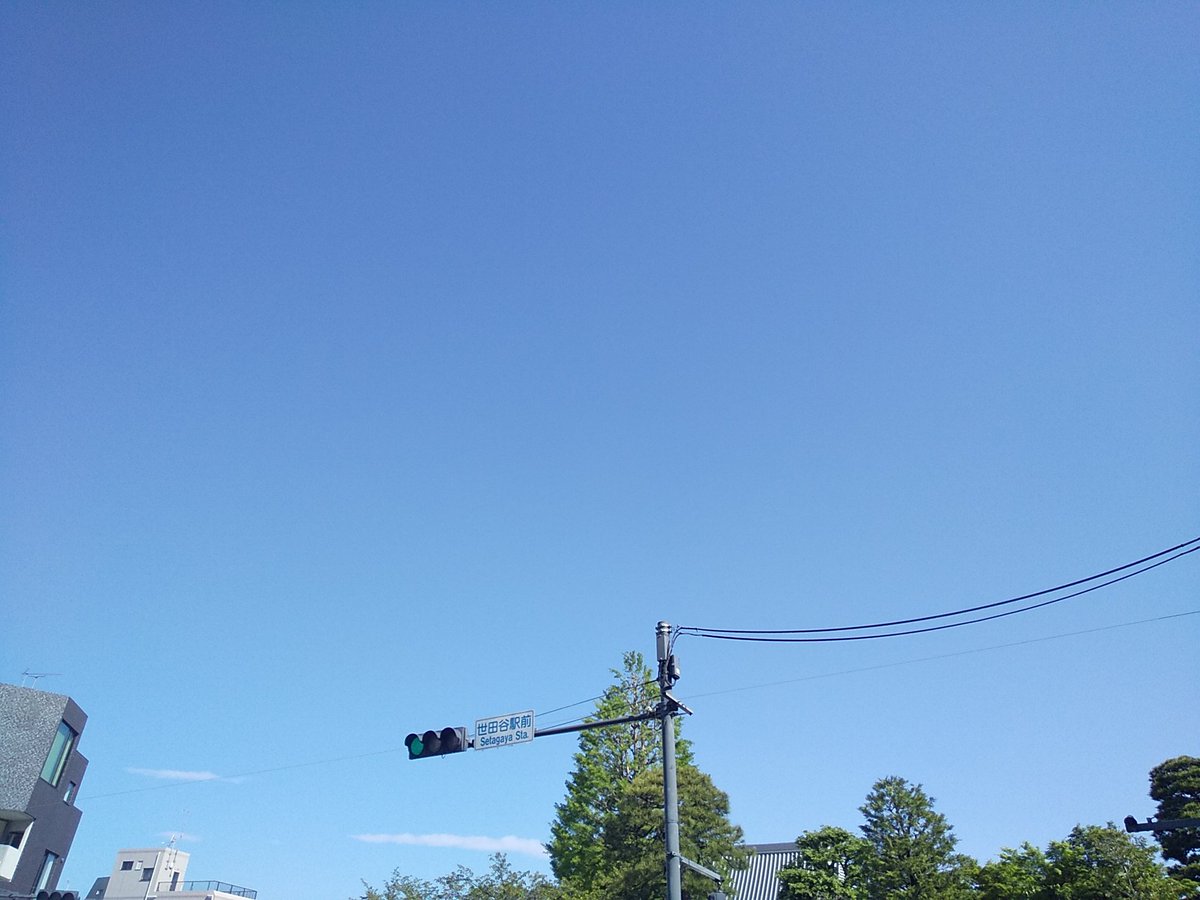 ysb_'s tweet image. 木曜日～

雨上がりの晴れ～

温暖～

本日も楽しくなりそうれす～

20260416～

 #世田谷 #世田谷区 #setagaya