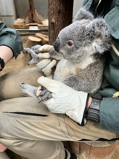 鹿児島市平川動物公園 tweet media