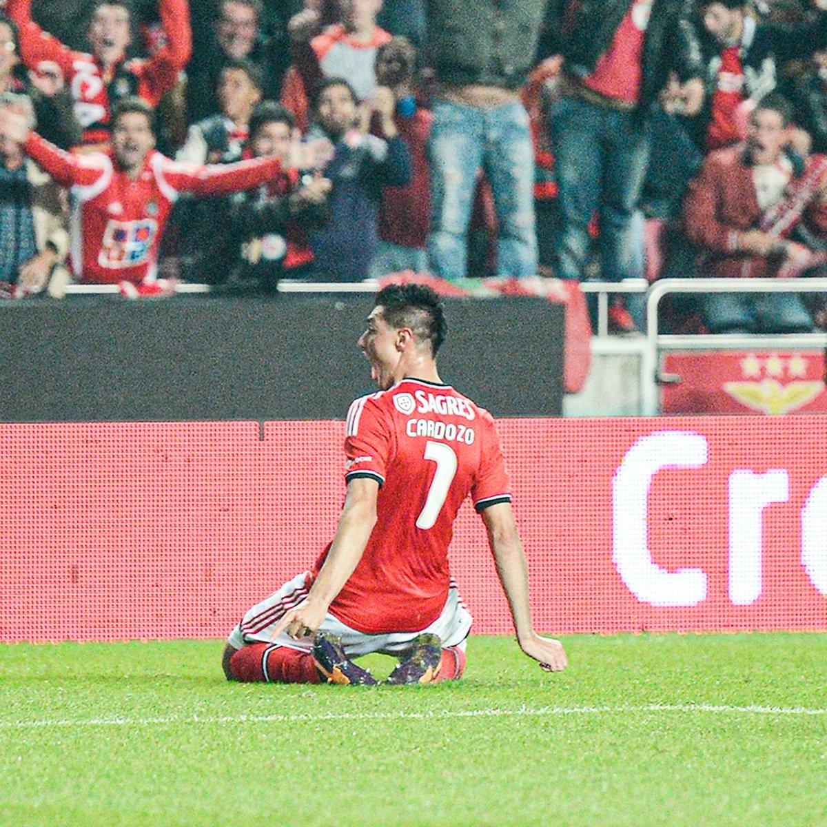 Vai Benfica 🦅 tweet media