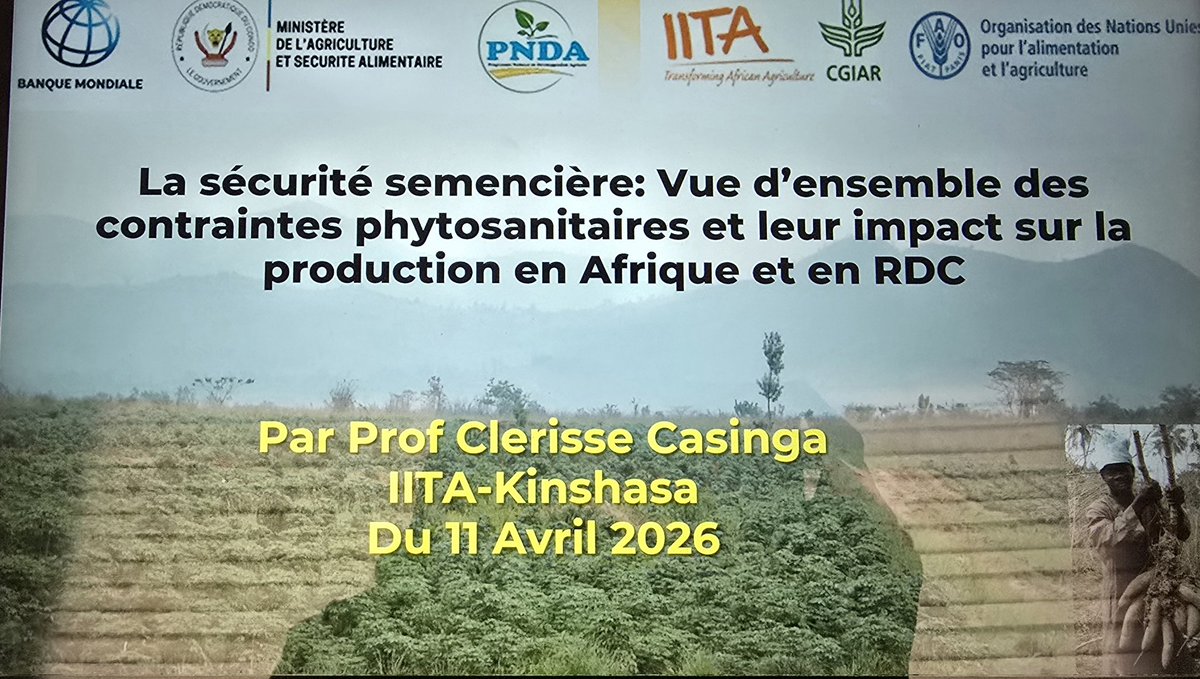 Clerisse Casinga tweet media