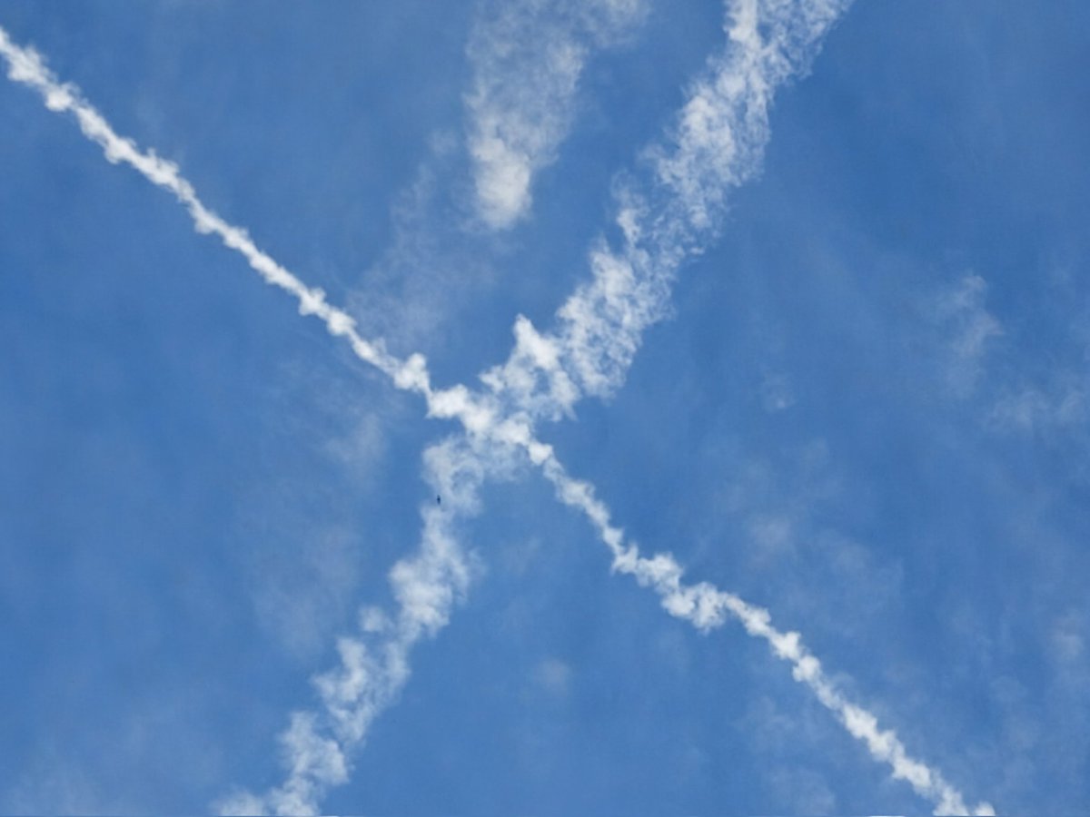 Misinthrope79 tweet media